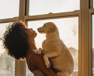 Os benefícios da companhia animal para os seres humanos